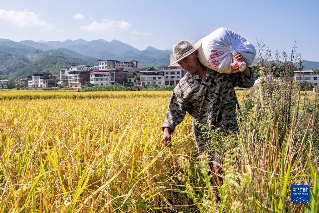 MG游戏怎么才能赢钱